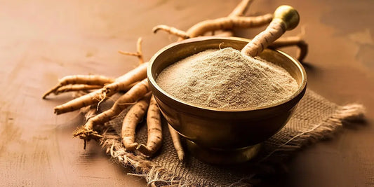 Ashwagandha Increase Fertility In Women